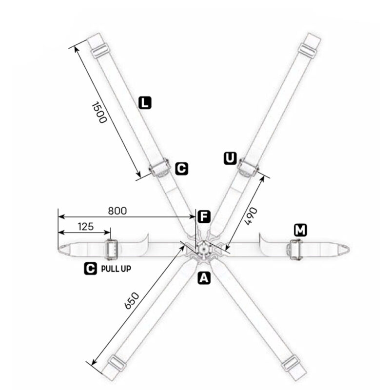 OMP Cintura ONE 2" WRC Pull Up - immagine 2